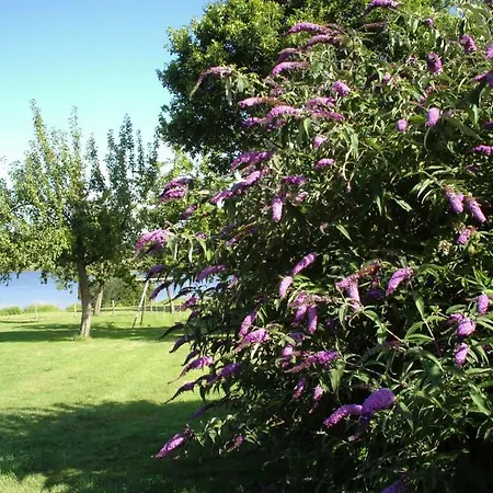 Lakeside Haven * Viré